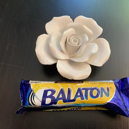 Apartment Vizparti Relax Siófok