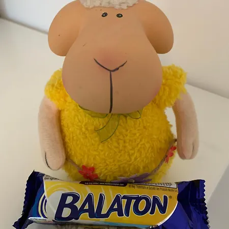 Апартаменты Vizparti Relax Шиофок